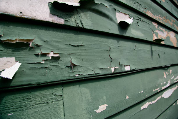 Best Construction Debris Removal  in Viera East, FL